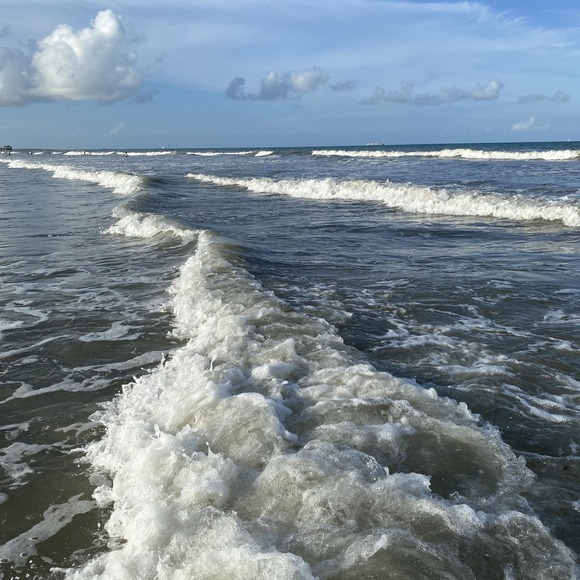 Meet your Posher, Carrie - Picture 1 of 1